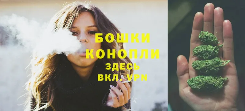 Бошки марихуана OG Kush  продажа наркотиков  Новосибирск 